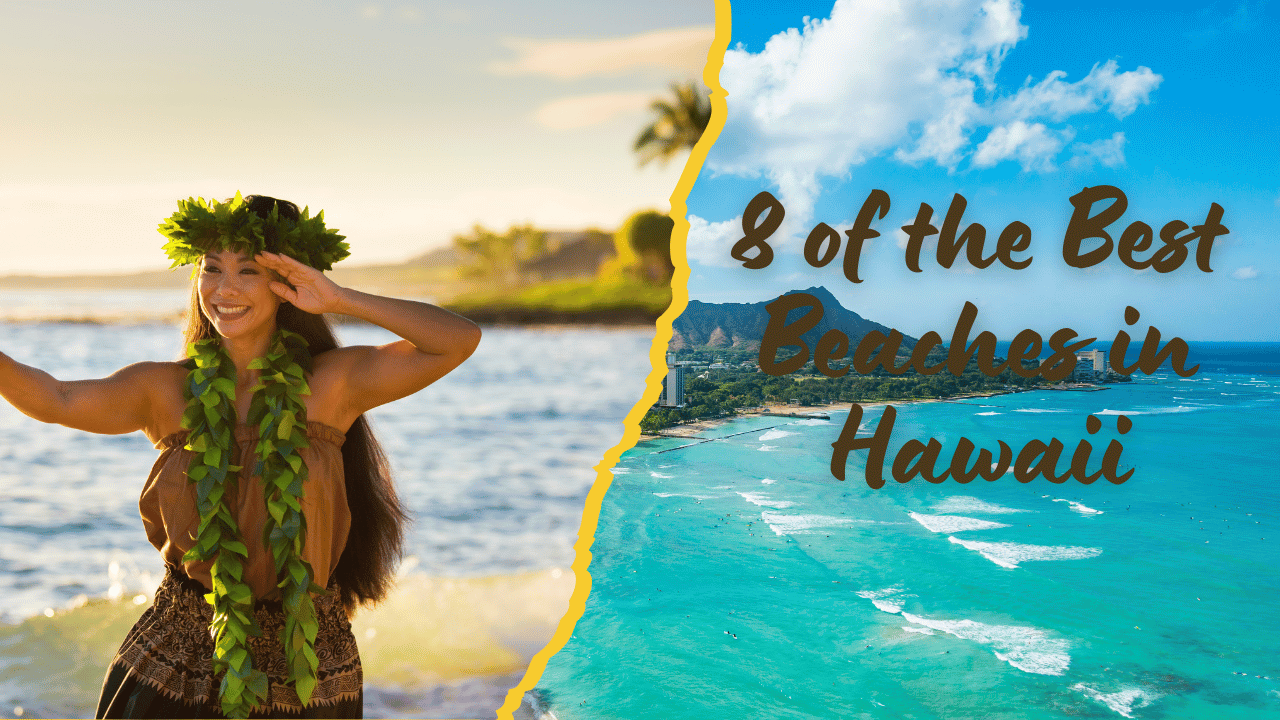 8 of the Best Beaches in Hawaii